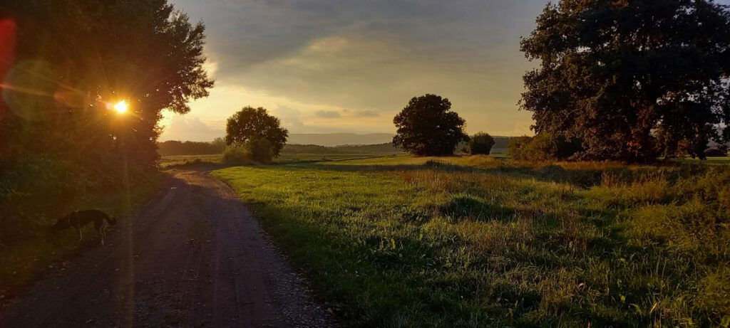 Beautywalk im Herbst - Energie tanken für die Physio Arbeit - 2, Autorin Annette Möhle
