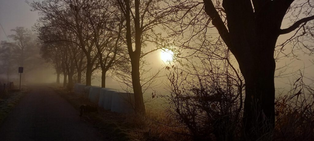 Beautywalk im Herbst - Energie tanken für die Physio Arbeit, Autorin Annette Möhle
